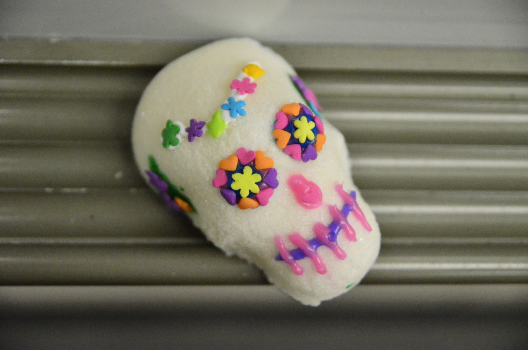 11-2-19 Day of the Dead (11).JPG